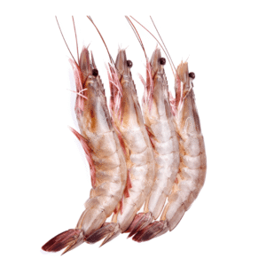 jumbo prawns